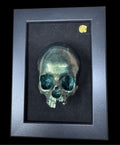 Realistic Skull Wall Deco — Handcrafted Dark Art Frame